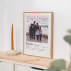 Lamina-significado-familia